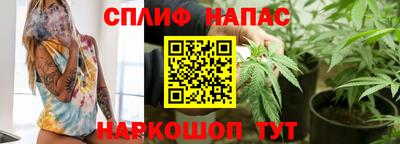 индика Гусиноозёрск