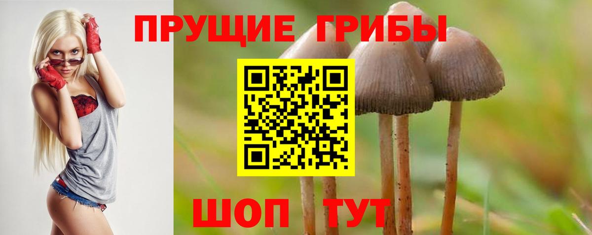 Галлюциногенные грибы прущие грибы  Вход с VPN  купить   Новошахтинск 